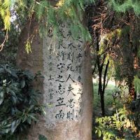 評論圖片 2