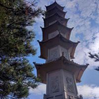 評論圖片 3