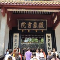 評論圖片 2