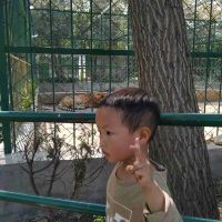 評論圖片 1