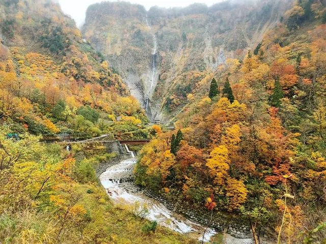 秋風起,擁有日本最長賞楓期的立山黑部點玩先至最「楓」喜?