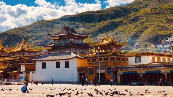 Longwu Temple
