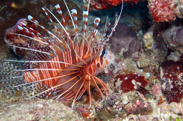 26 Amazing Things to Do in Phuket