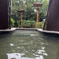 評論圖片 1