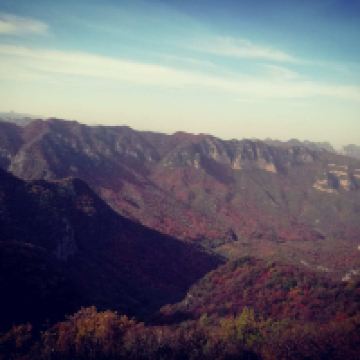 評論圖片 1