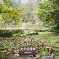 評論圖片 8