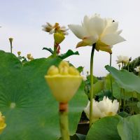 評論圖片 7
