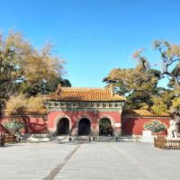 評論圖片 1