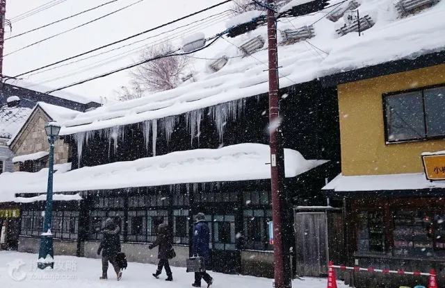 【北海道景點】精選景點攻略,教你玩轉北海道