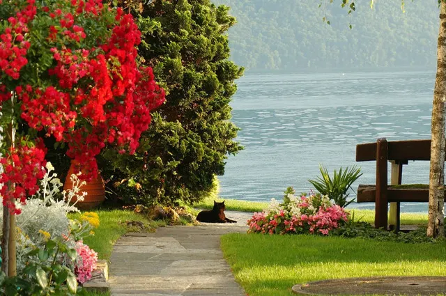 Not to Be Missed Attractions in Lucerne