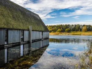 Brockholes