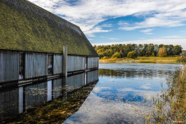 Brockholes