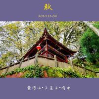 評論圖片 3