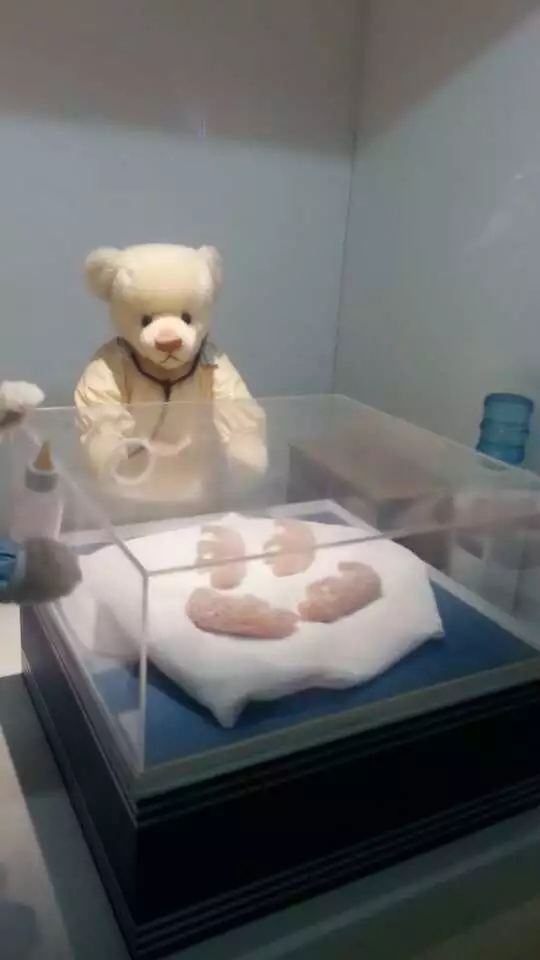 中國泰迪熊博物館