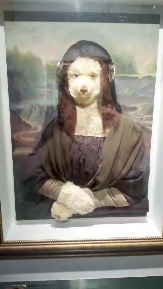 中國泰迪熊博物館