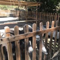 評論圖片 5