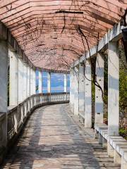 Langhe Reservoir