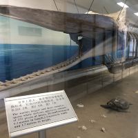 評論圖片 2