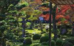 天野山金剛寺