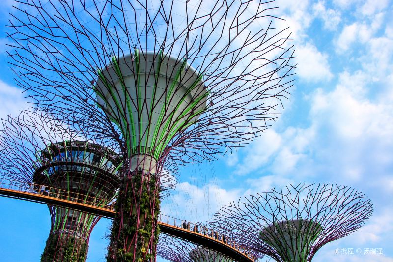 Gardens by the Bay