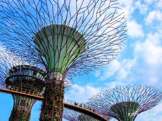 Gardens by the Bay