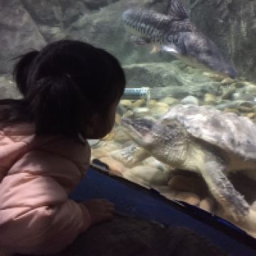 評論圖片 1