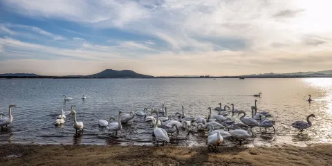 天鵝湖親海遊樂園