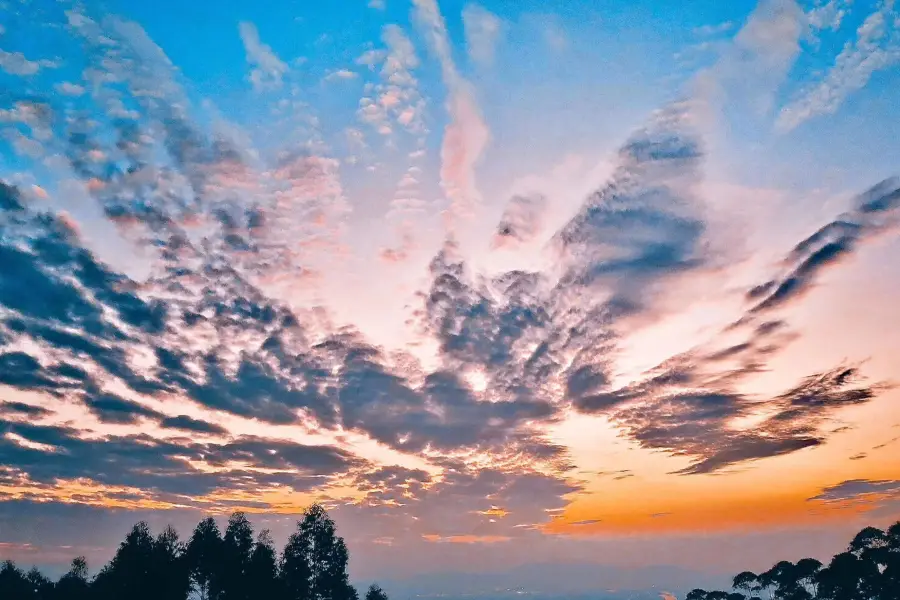 阿佤山雲海