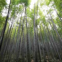 評論圖片 6