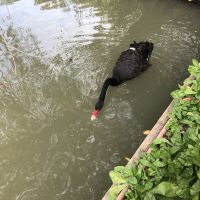 評論圖片 4