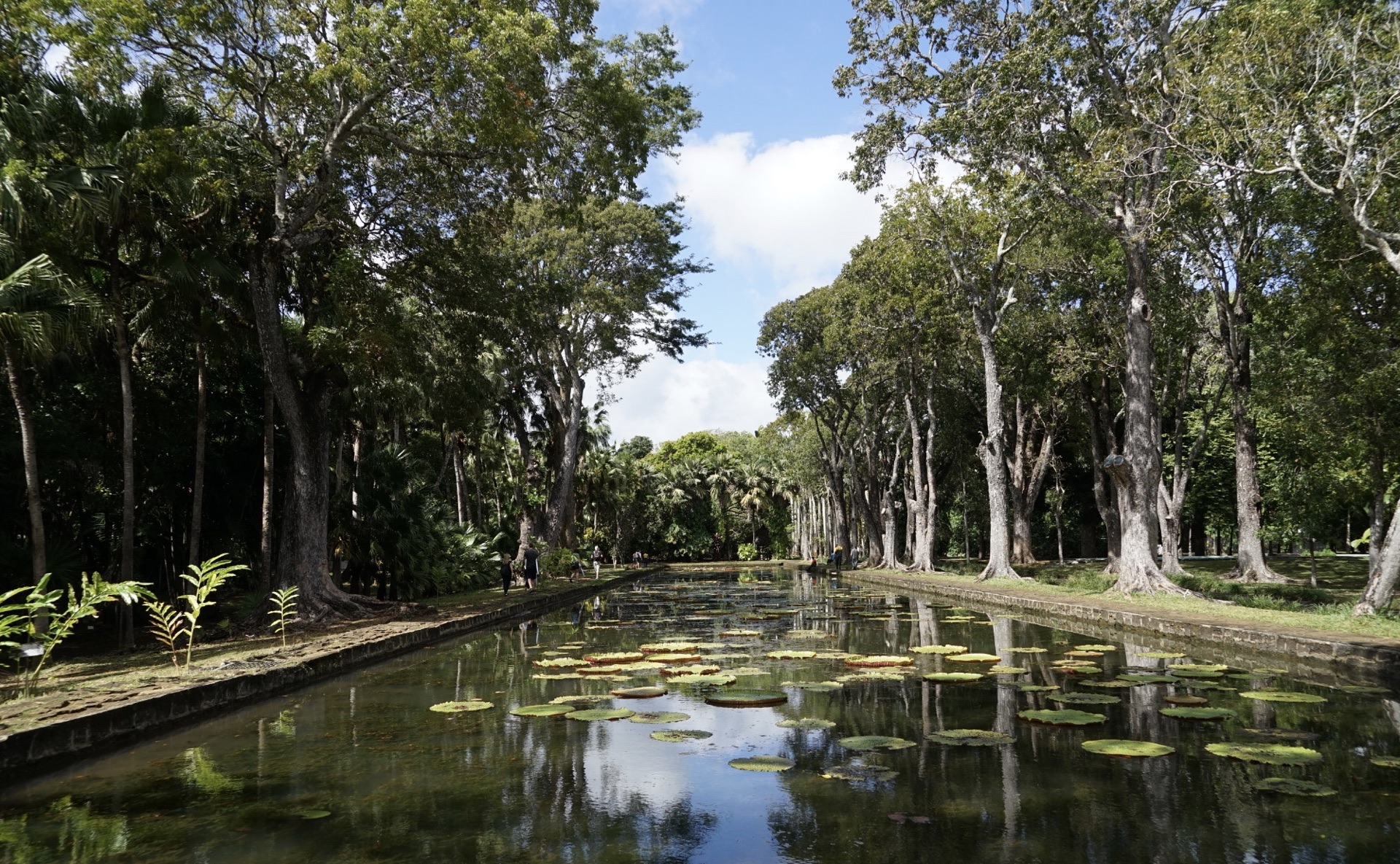 Pamplemousses Botanical Garden Mauritius Travel Reviews Trip Com Travel Guide