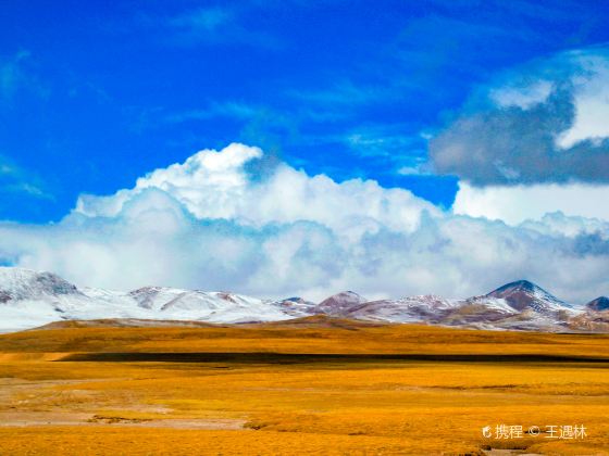 Qinghai Tibet Train (Lhasa Express)