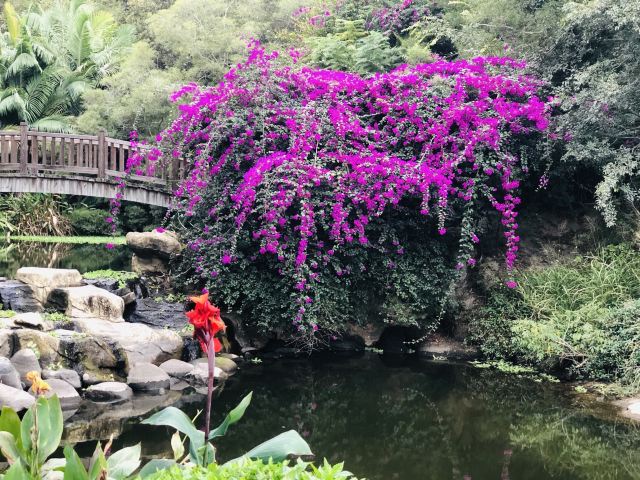 정인곡