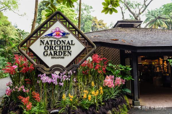 Singapore Botanic Gardens