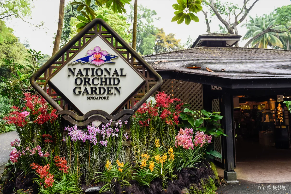 4_新加坡植物園