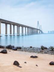 Zhanjiang Bay Bridge