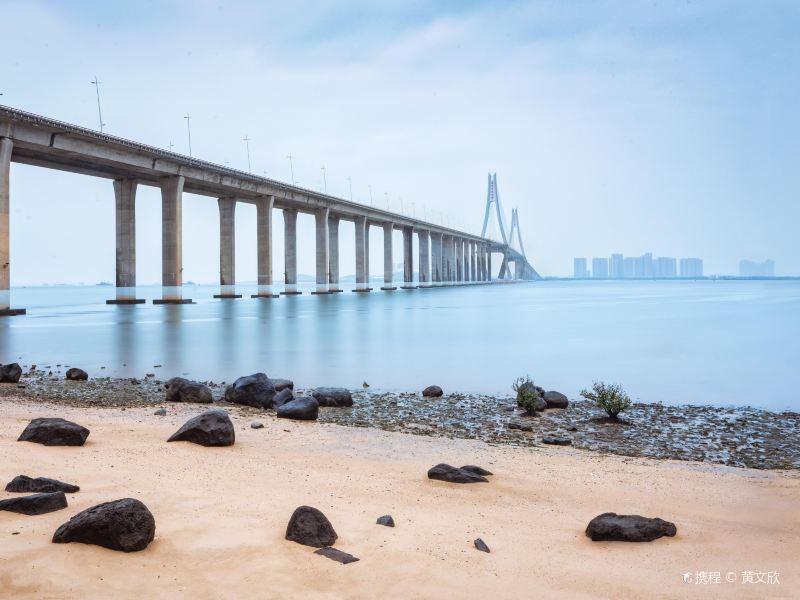 Zhanjiang Bay Bridge