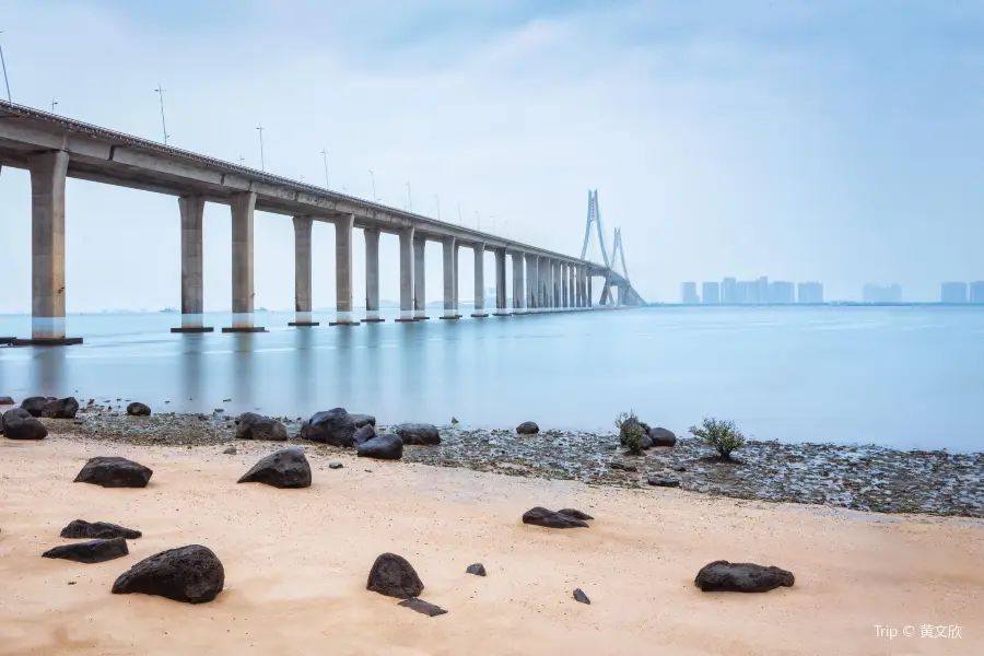 Zhanjiang Bay Bridge