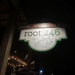 Root 246 User Photo