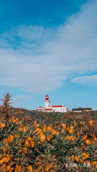 Cape Roca + Quinta da Regaleira + Sintra National Palace of Pena Day Tour [Private Charter Service]