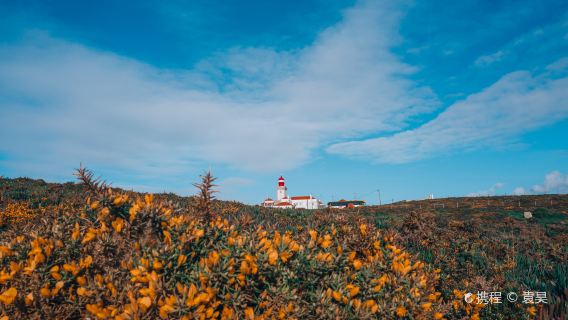 ロカ岬+レガレイラ宮殿+シントラ ペーナ宮殿 ワンデーツアー【貸切チャーター専用】