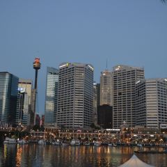 Cockle Bay Wharf 여행 사진