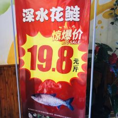 鲜椒鱼·雅安地标性美食 User Photo