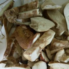 Snow mountain clouds wild mushrooms 여행 사진