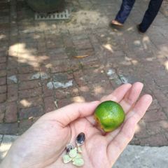 路門農家樂張用戶圖片