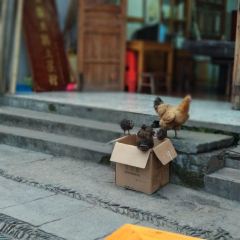 一步岭土鸡土菜馆 User Photo