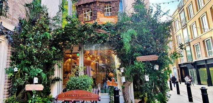 The Tree House