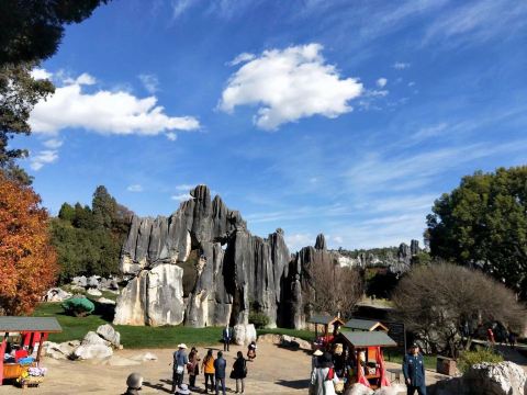 Liziyuanqing Stone Forest Area