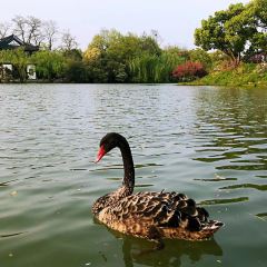 Gardern TeaHouse User Photo