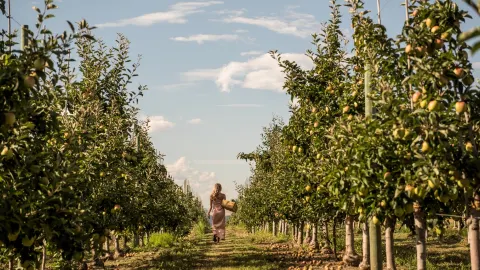 Kelowna travel destination